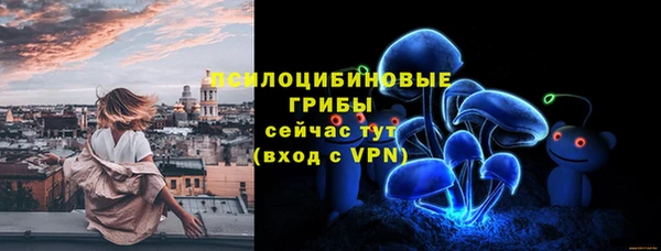 мяу мяу мука Белокуриха