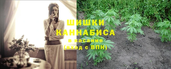 молекула духа Белоозёрский