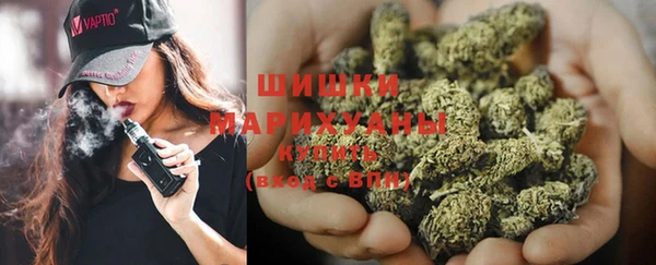 молекула духа Белоозёрский