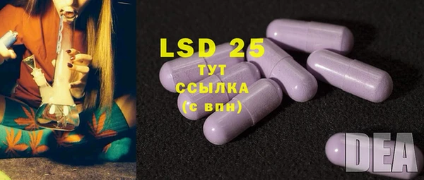 мяу мяу мука Белокуриха
